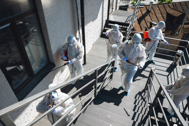 Best Commercial Mold Inspection  in Inver Grove Heights, MN